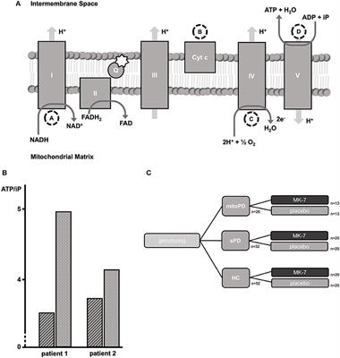 The Use of Vitamin K2 in Patients With Parkinson's Disease and Mitochondrial Dysfunction (PD-K2): A Theranostic Pilot Study in a Placebo-Controlled Parallel Group Design